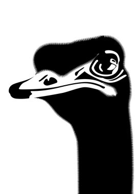 The head of an ostrich clipart