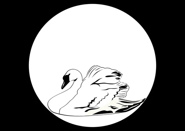 Cisne Branco — Vetor de Stock