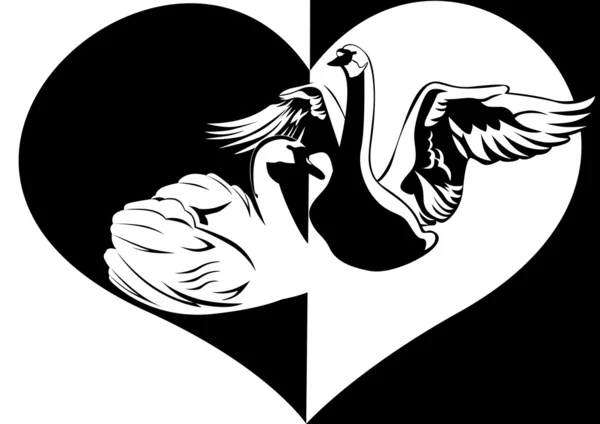 Amor y cisnes — Vector de stock