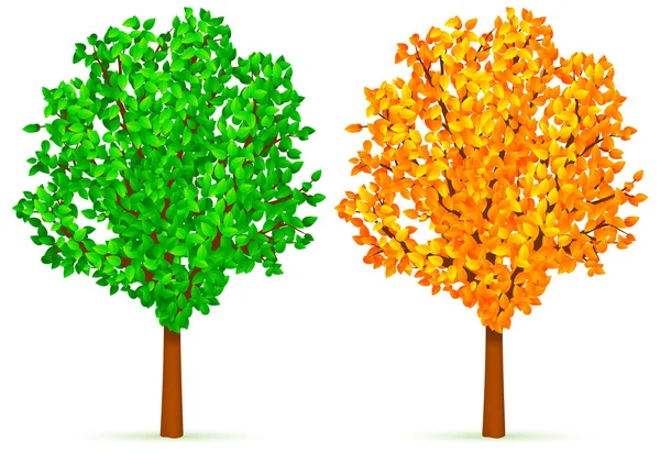 Deux arbres. — Image vectorielle
