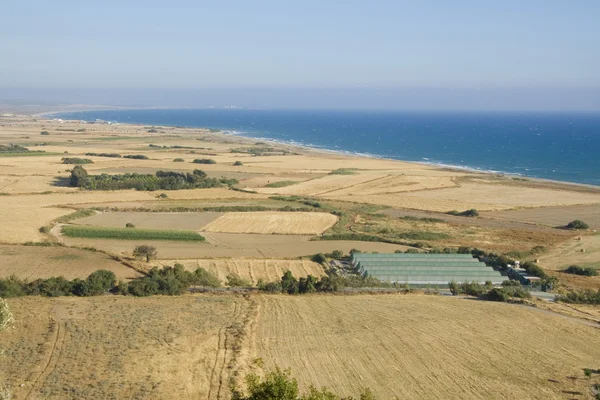 Fields on the coast of Mediterranean — Stock Photo, Image