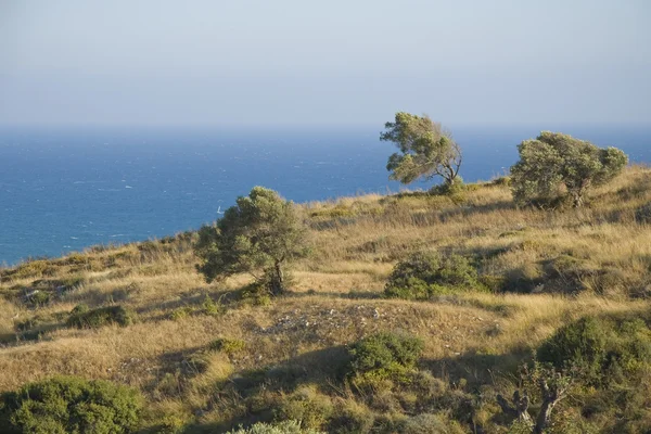 On the coast of Mediterranean — Stock Photo, Image
