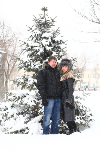 Casal de inverno — Fotografia de Stock