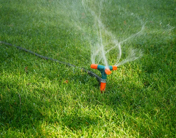 Aspersor rociando agua sobre hierba — Foto de Stock