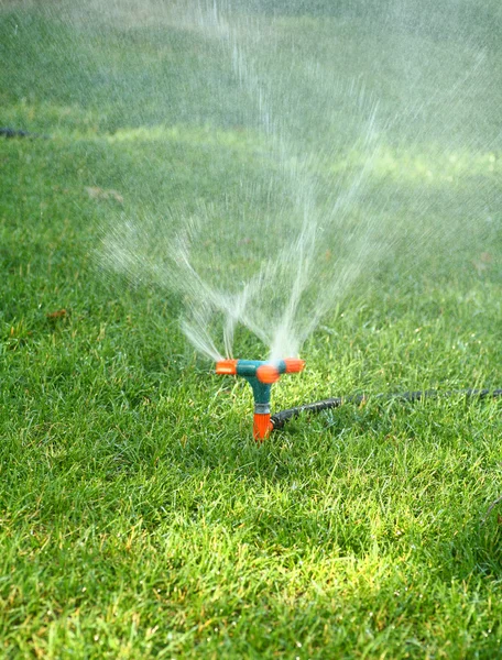 Arroseur pulvérisation d'eau sur l'herbe — Photo