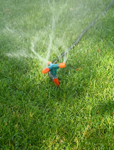 Sprinkler sprutning vatten på gräs — Stockfoto