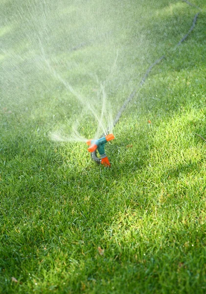 Спринклер розбризкує воду на траві — стокове фото