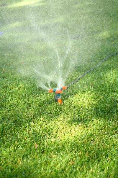 Sprinkler sprutning vatten på gräs — Stockfoto
