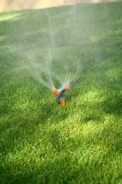 洒水喷洒在草地上 — 图库照片