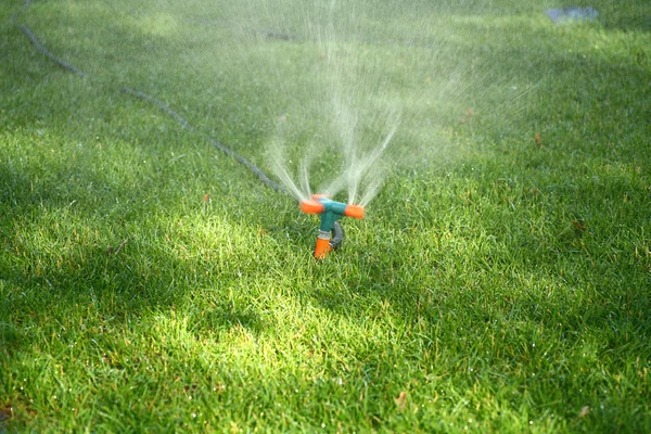 Postřikovač stříká vodu na trávu — Stock fotografie