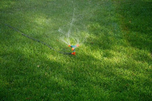 スプリンクラーが草に水を吹きかけ — ストック写真