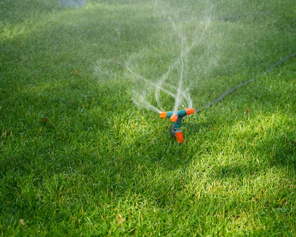 Sprinklersprøjtning vand på græs - Stock-foto