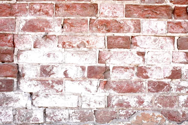 Grunge Brick Textur — Stockfoto