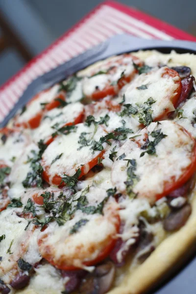 Hausgemachte vegetarische Pizza — Stockfoto