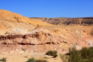 Negev Çölü, İsrail