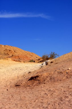 Negev Çölü, İsrail