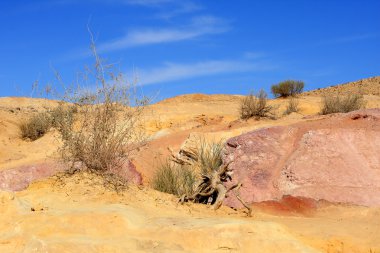 Negev Çölü, İsrail