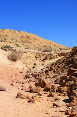 Negev Çölü, İsrail