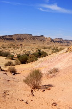 Negev Çölü, İsrail