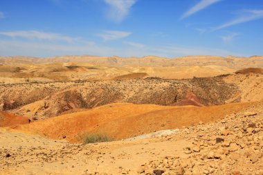 Negev Çölü, İsrail