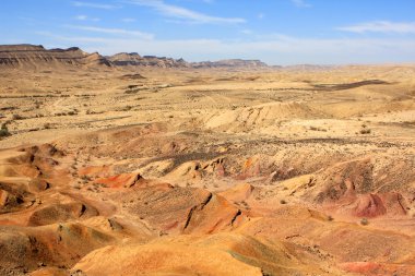 Negev Çölü, İsrail