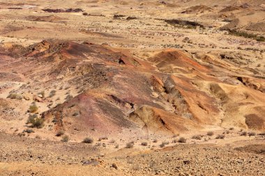 Negev Çölü, İsrail