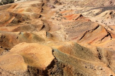 Negev Çölü, İsrail