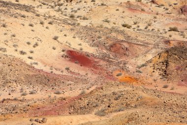 Negev Çölü, İsrail