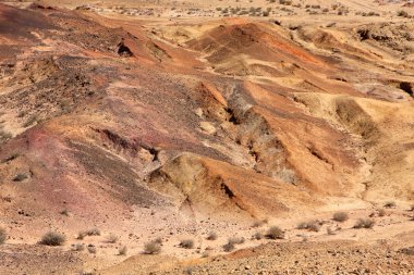 Negev Çölü, İsrail