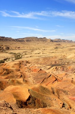 Negev Desert, Israel clipart