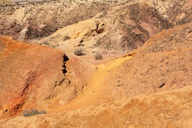 Negev Çölü, İsrail