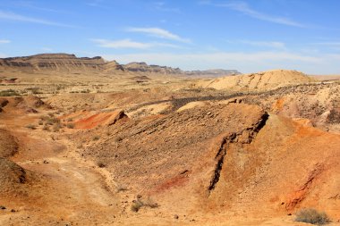 Negev Çölü, İsrail