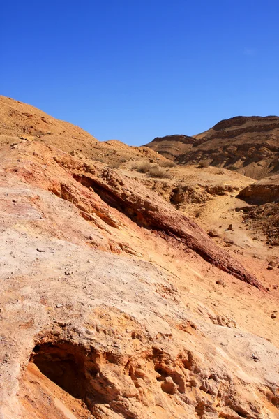 以色列内盖夫沙漠 — 图库照片
