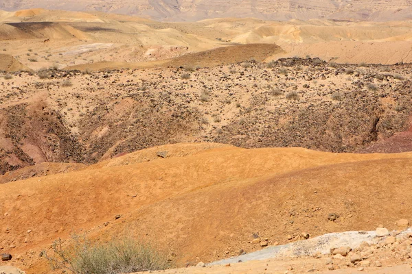 Пустыня Негев, Израиль — стоковое фото