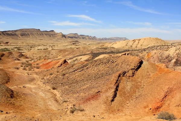 stock image Negev Desert, Israel