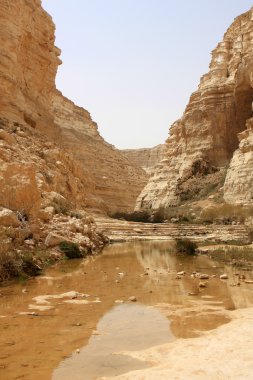 Ein avdat Kanyon, İsrail