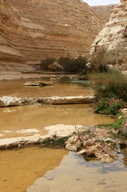 Ein avdat Kanyon, İsrail