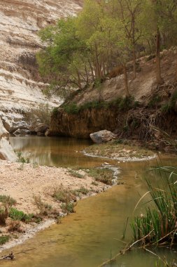 Ein avdat Kanyon, İsrail