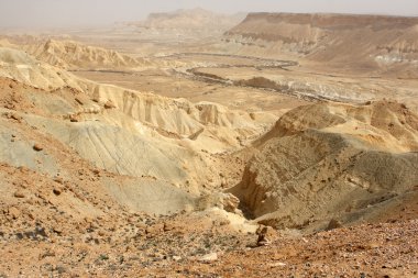 Negev Çölü, İsrail