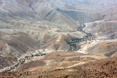 Negev Çölü, İsrail