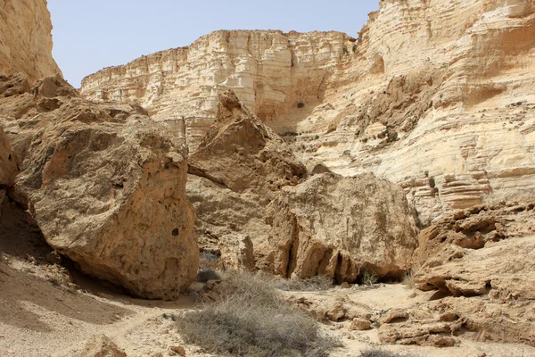Ein avdat Kanyon, İsrail — Stok fotoğraf
