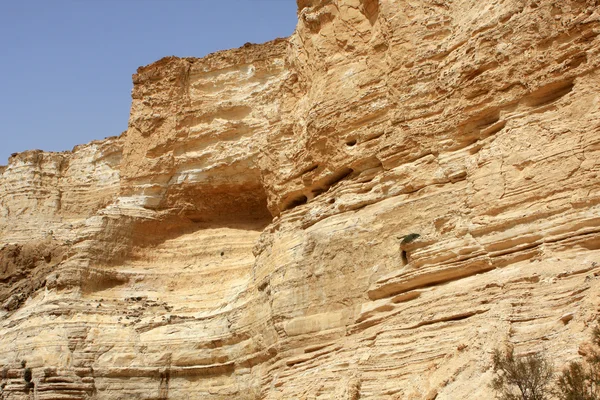 Ein avdat Kanyon, İsrail — Stok fotoğraf
