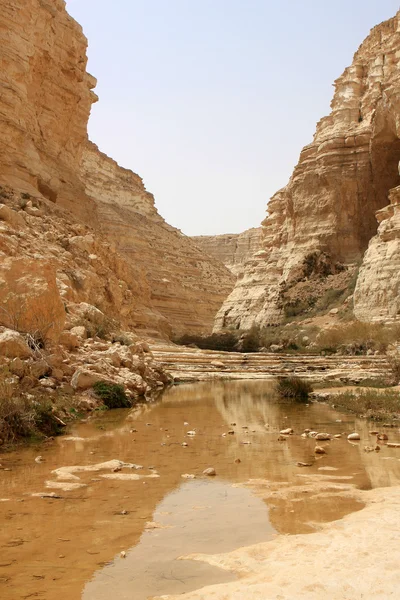 Ein avdat kanion, Izrael — Zdjęcie stockowe