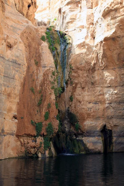 Ein Avdat Canyon, Israel — Stockfoto