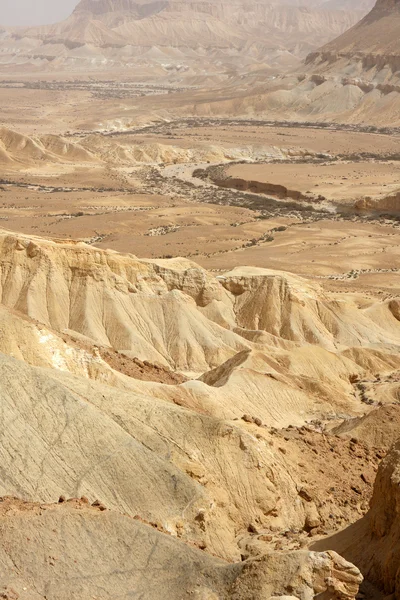 네 게 브 사막, 이스라엘 — 스톡 사진