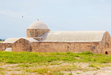 Kıbrıs bahar