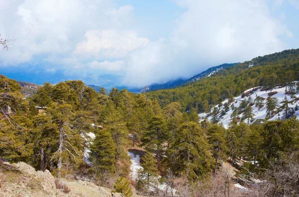 stock image Cyprus in the spring