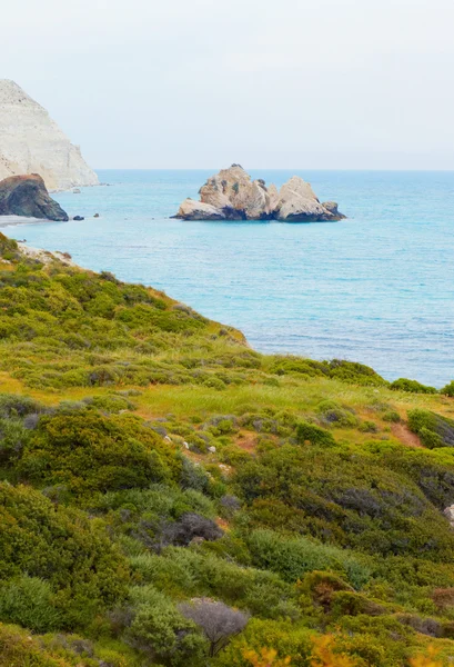 stock image Cyprus in the spring