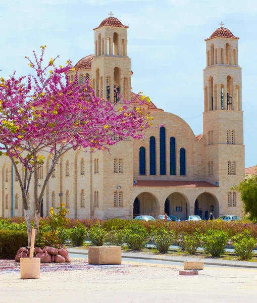 Кіпр на весну Стокове Фото