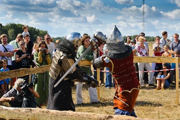 stock image Knights fight